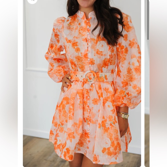 Gorgeous Zimmerman-inspired dress! New with tags! Make an offer! - Picture 1 of 5
